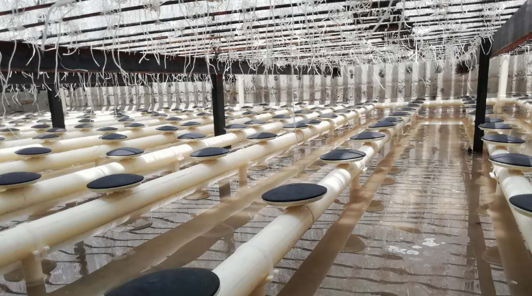 圖片關(guān)鍵詞