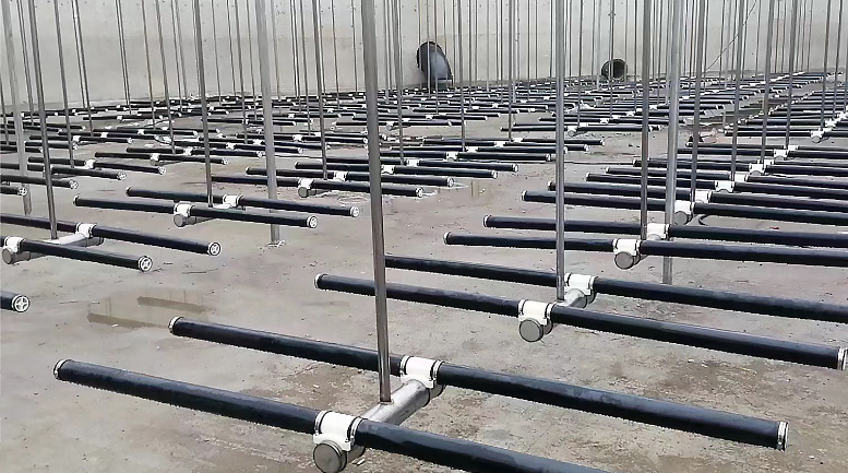 圖片關(guān)鍵詞